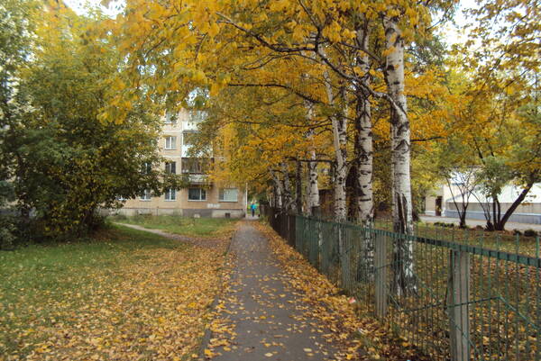 https://upforme.ru/uploads/000a/1b/4d/2205/t804861.jpg