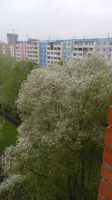 https://upforme.ru/uploads/000a/3f/42/228/t25778.jpg