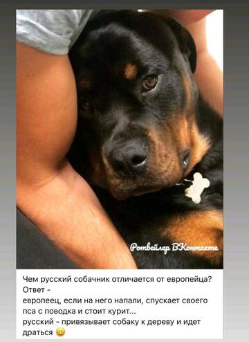 https://upforme.ru/uploads/000a/3f/42/228/t380482.jpg