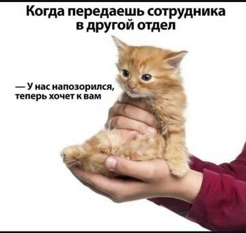 https://upforme.ru/uploads/000a/3f/42/228/t565721.jpg