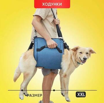 https://upforme.ru/uploads/000a/3f/42/228/t757578.jpg