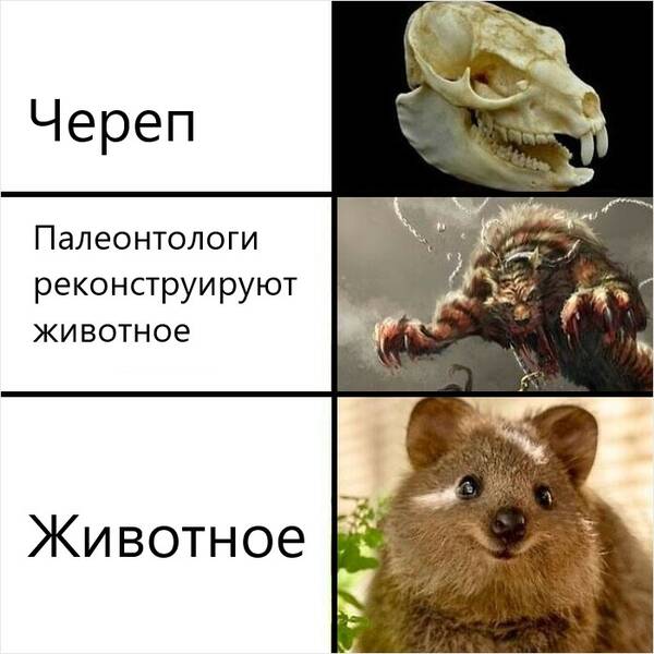https://upforme.ru/uploads/000a/3f/42/33/t180980.jpg