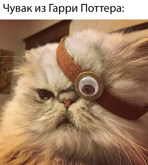 https://upforme.ru/uploads/000a/3f/42/33/t80736.jpg