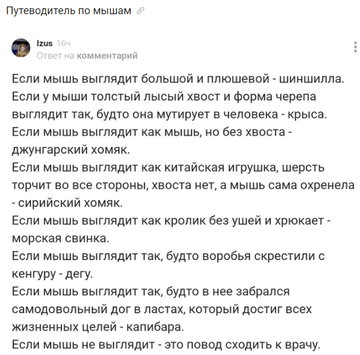 https://upforme.ru/uploads/000a/3f/42/401/t972868.png