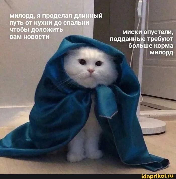 https://upforme.ru/uploads/000a/3f/42/512/284497.jpg