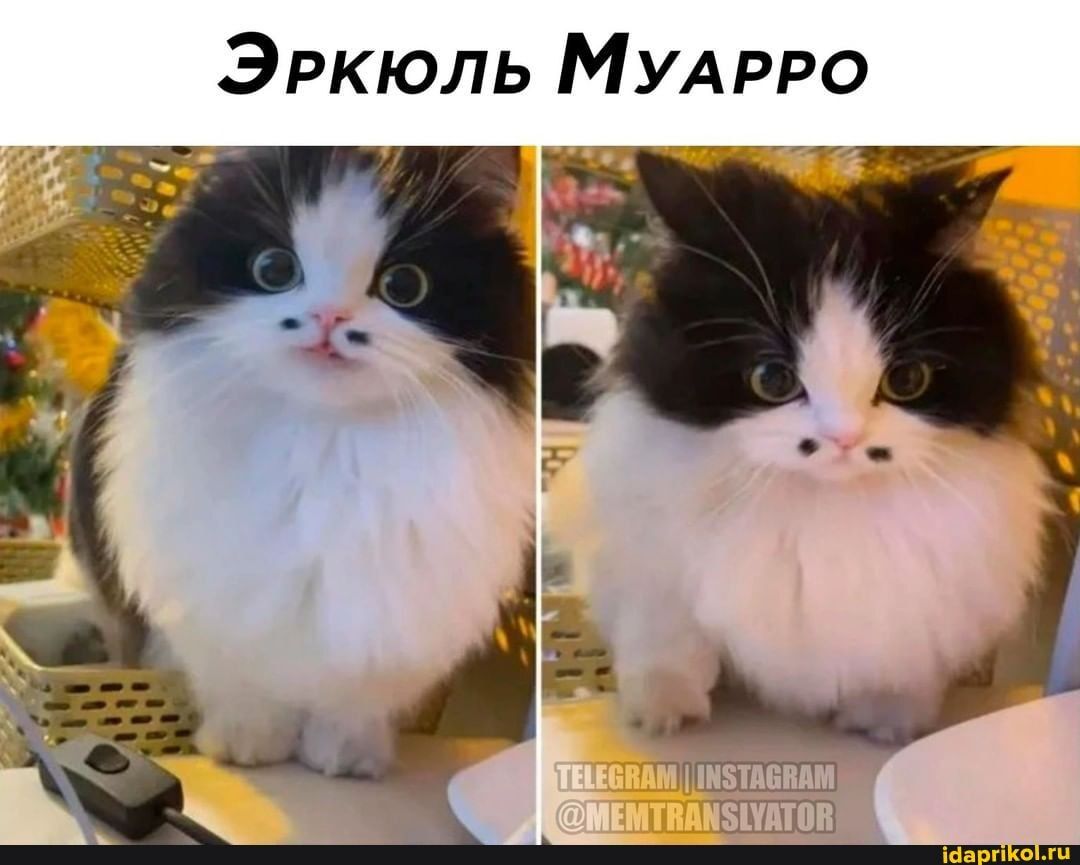 https://upforme.ru/uploads/000a/3f/42/512/572757.jpg