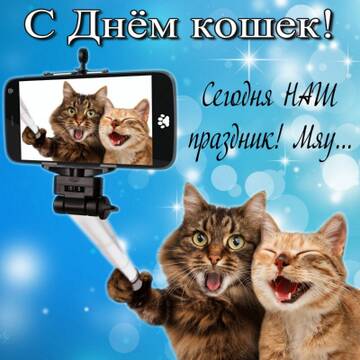 https://upforme.ru/uploads/000a/3f/42/512/t236757.jpg