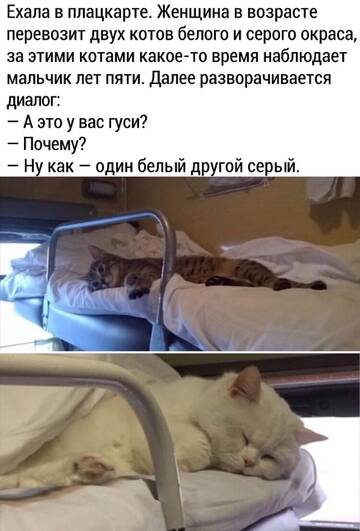 https://upforme.ru/uploads/000a/3f/42/512/t619990.jpg
