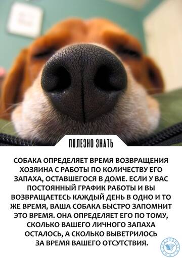 https://upforme.ru/uploads/000a/3f/42/512/t766422.jpg