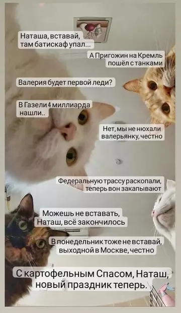 https://upforme.ru/uploads/000a/3f/42/534/t391790.webp