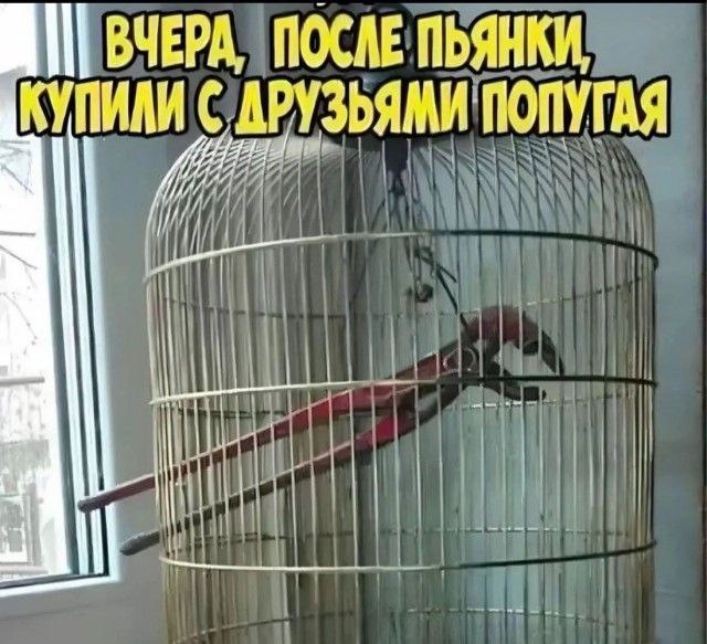 https://upforme.ru/uploads/000a/3f/42/680/142590.jpg