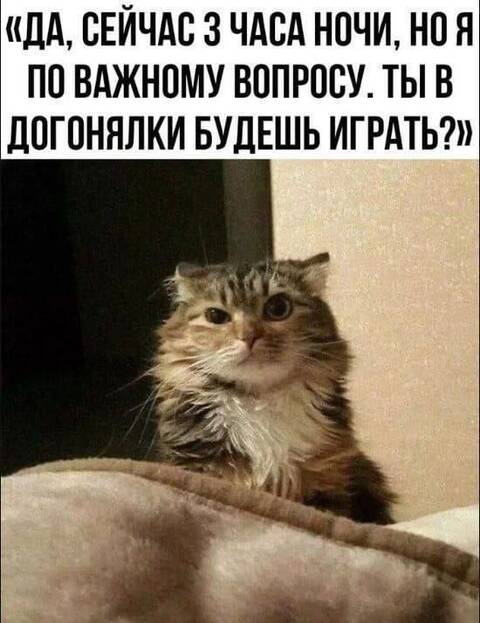 https://upforme.ru/uploads/000a/3f/42/725/t260480.jpg