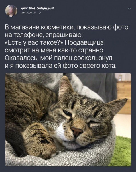https://upforme.ru/uploads/000a/3f/42/725/t350846.jpg
