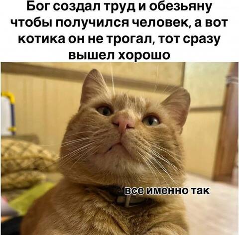 https://upforme.ru/uploads/000a/3f/42/725/t430581.jpg