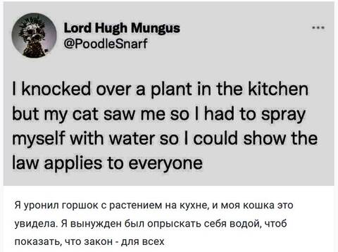 https://upforme.ru/uploads/000a/3f/42/725/t517548.jpg