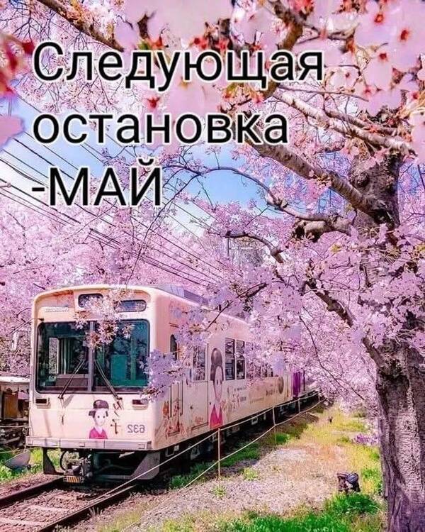 https://upforme.ru/uploads/000a/3f/42/819/t100828.jpg