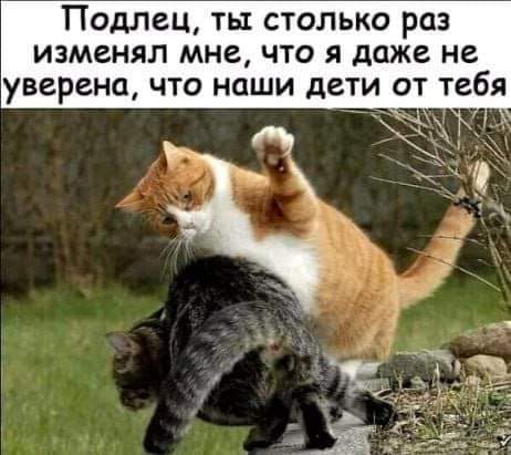 https://upforme.ru/uploads/000a/3f/42/819/t119364.jpg
