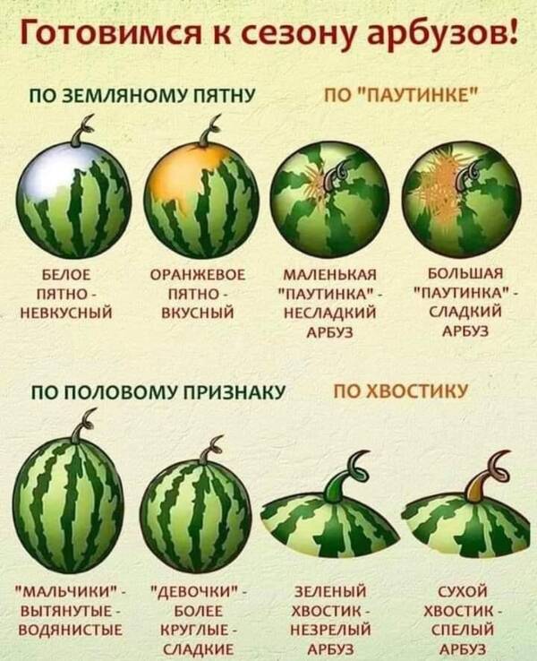 https://upforme.ru/uploads/000a/3f/42/819/t125917.jpg