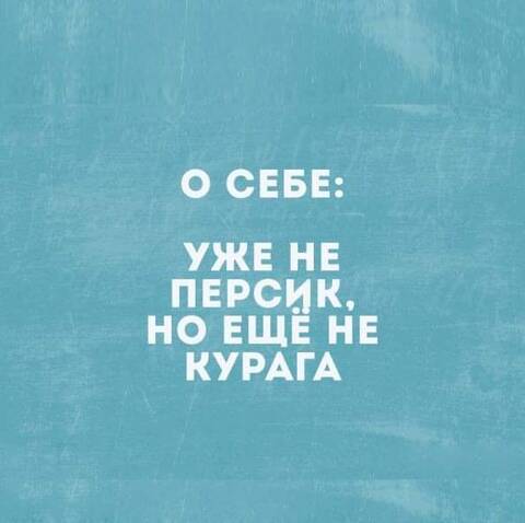 https://upforme.ru/uploads/000a/3f/42/819/t131832.jpg