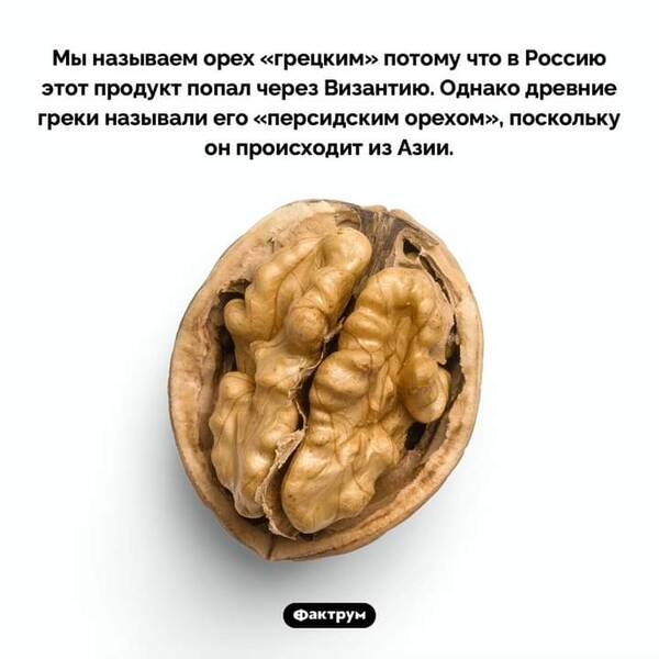 https://upforme.ru/uploads/000a/3f/42/819/t180379.jpg