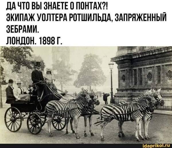 https://upforme.ru/uploads/000a/3f/42/819/t192936.jpg