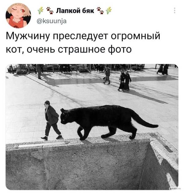 https://upforme.ru/uploads/000a/3f/42/819/t208987.jpg