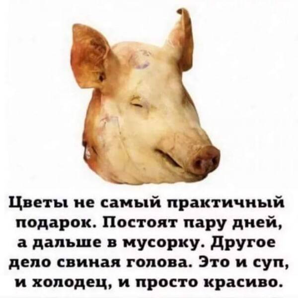 https://upforme.ru/uploads/000a/3f/42/819/t220212.jpg