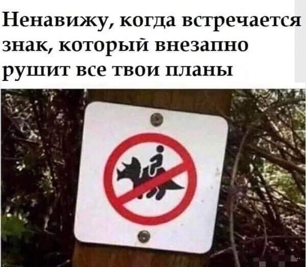 https://upforme.ru/uploads/000a/3f/42/819/t237802.jpg
