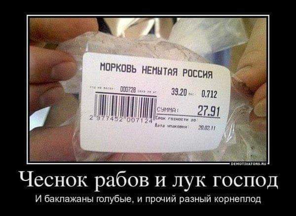 https://upforme.ru/uploads/000a/3f/42/819/t241083.jpg