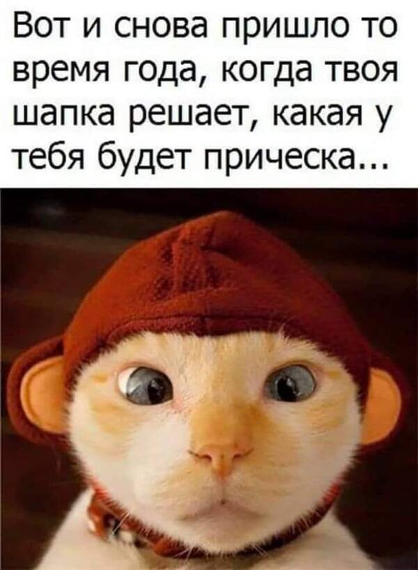 https://upforme.ru/uploads/000a/3f/42/819/t250321.jpg