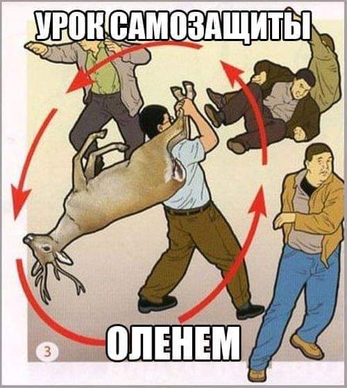 https://upforme.ru/uploads/000a/3f/42/819/t252095.jpg