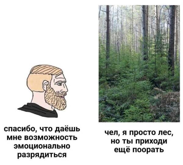 https://upforme.ru/uploads/000a/3f/42/819/t290438.jpg
