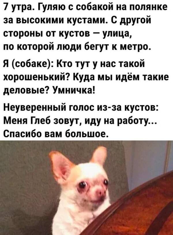 https://upforme.ru/uploads/000a/3f/42/819/t29490.jpg