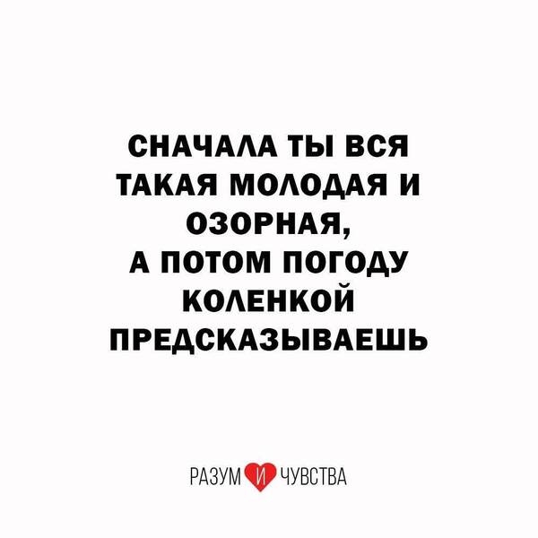 https://upforme.ru/uploads/000a/3f/42/819/t317510.jpg