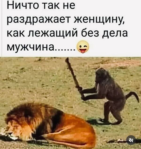 https://upforme.ru/uploads/000a/3f/42/819/t319403.jpg