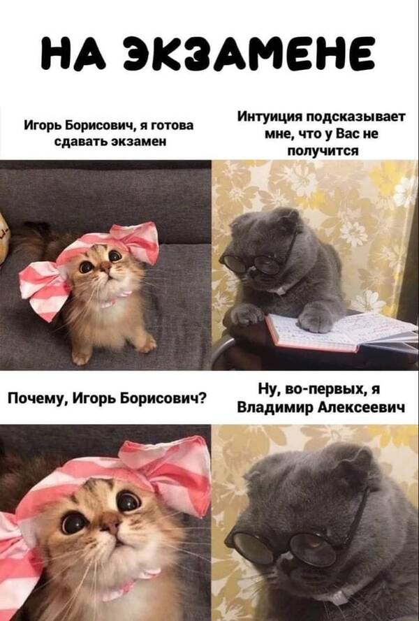 https://upforme.ru/uploads/000a/3f/42/819/t366652.jpg