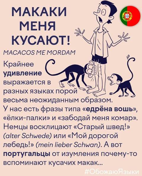 https://upforme.ru/uploads/000a/3f/42/819/t391844.jpg