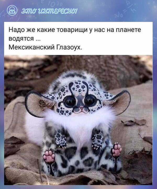 https://upforme.ru/uploads/000a/3f/42/819/t408960.jpg