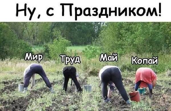 https://upforme.ru/uploads/000a/3f/42/819/t409345.jpg