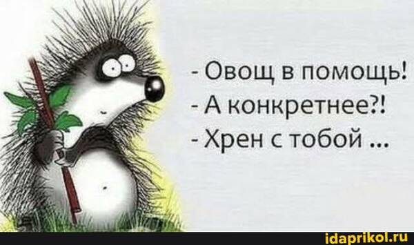 https://upforme.ru/uploads/000a/3f/42/819/t436243.jpg