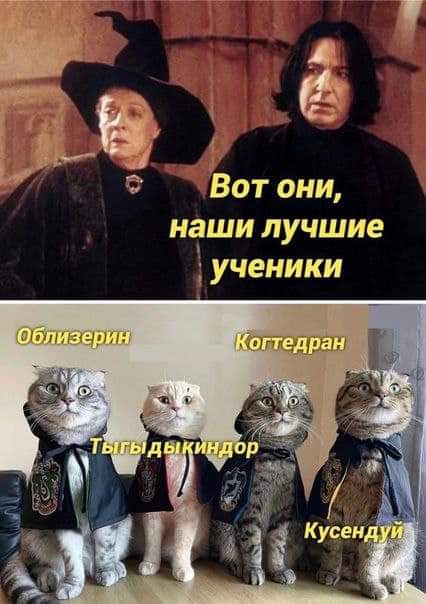 https://upforme.ru/uploads/000a/3f/42/819/t447704.jpg