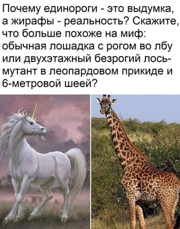 https://upforme.ru/uploads/000a/3f/42/819/t465198.jpg