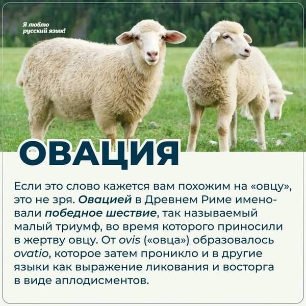 https://upforme.ru/uploads/000a/3f/42/819/t46704.jpg