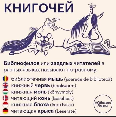 https://upforme.ru/uploads/000a/3f/42/819/t500944.jpg