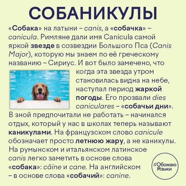 https://upforme.ru/uploads/000a/3f/42/819/t534787.jpg