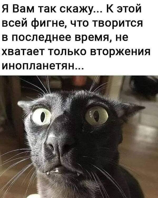https://upforme.ru/uploads/000a/3f/42/819/t538947.jpg