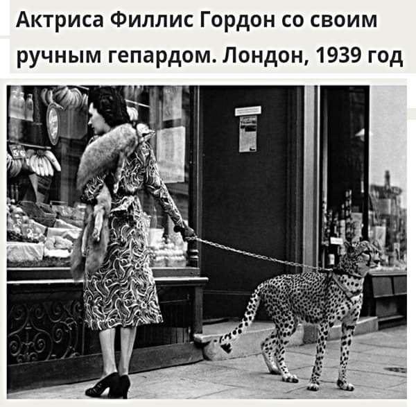 https://upforme.ru/uploads/000a/3f/42/819/t571450.jpg