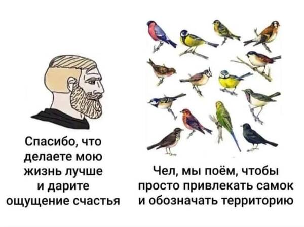 https://upforme.ru/uploads/000a/3f/42/819/t578500.jpg