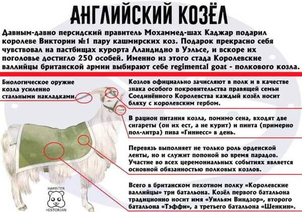 https://upforme.ru/uploads/000a/3f/42/819/t586372.jpg