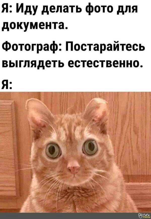 https://upforme.ru/uploads/000a/3f/42/819/t588730.jpg